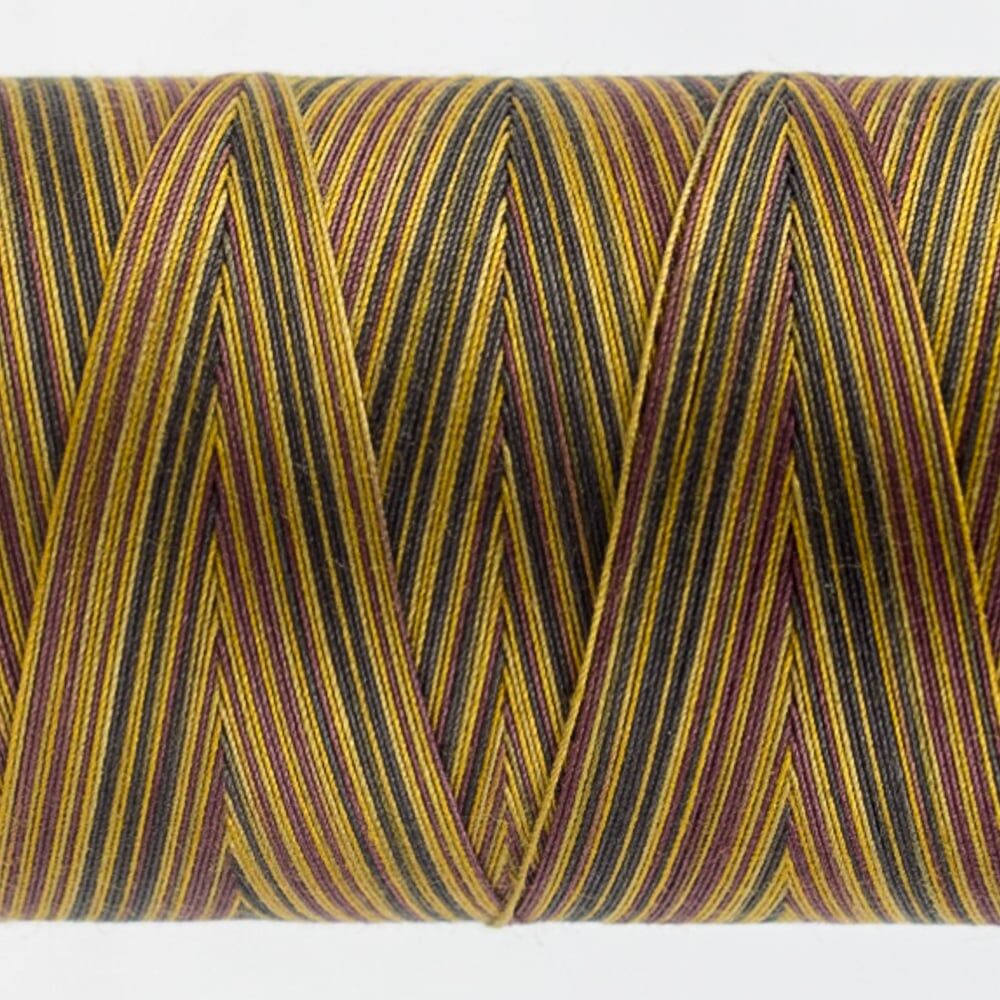 TU34 - Box Turtle - Image 2