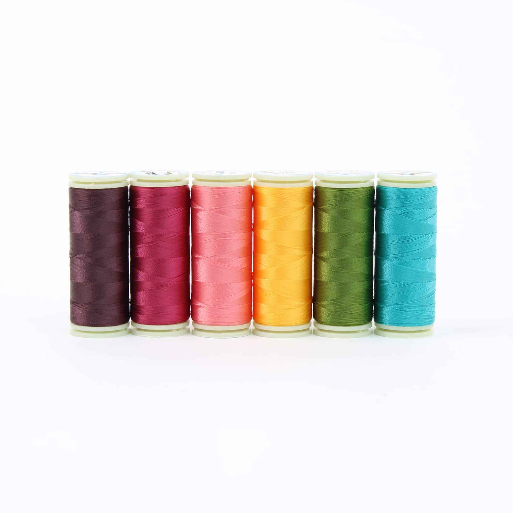 Heart of a Lion - Image 4