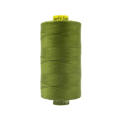 SP54 - Olive